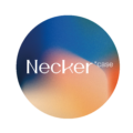 Стильные чехлы Necker для смартфонов iPhone